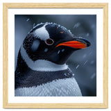 Close Up Penguin Portrait In Snowy Weather thumbnail