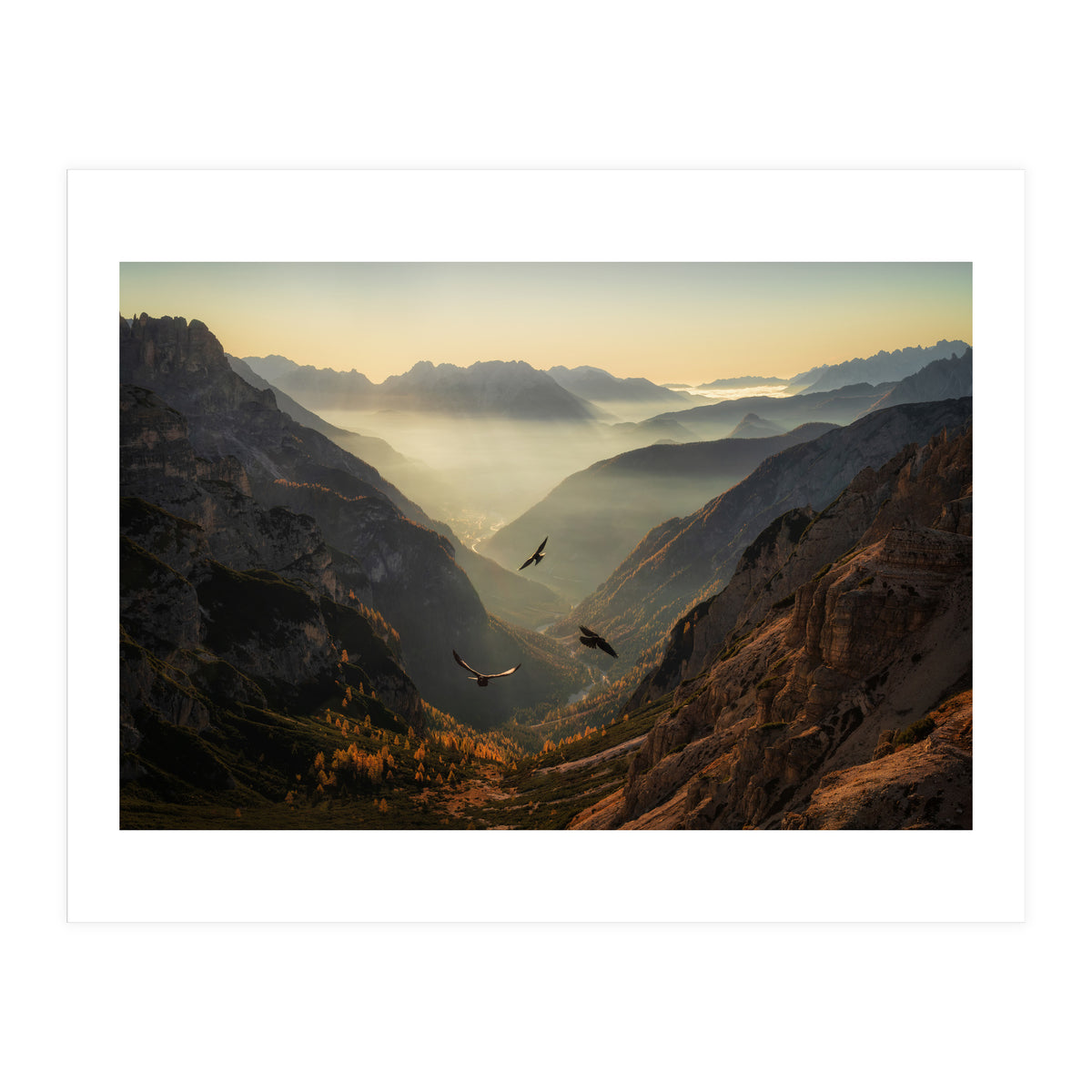 Fly away (Print Only)