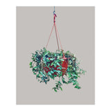 Hanging Plant (Print Only) thumbnail