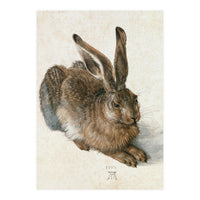 Hare-Hase. Watercolour. (Print Only)