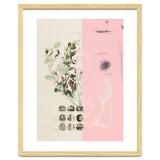 The First Plant · Mix It Up Sunday thumbnail