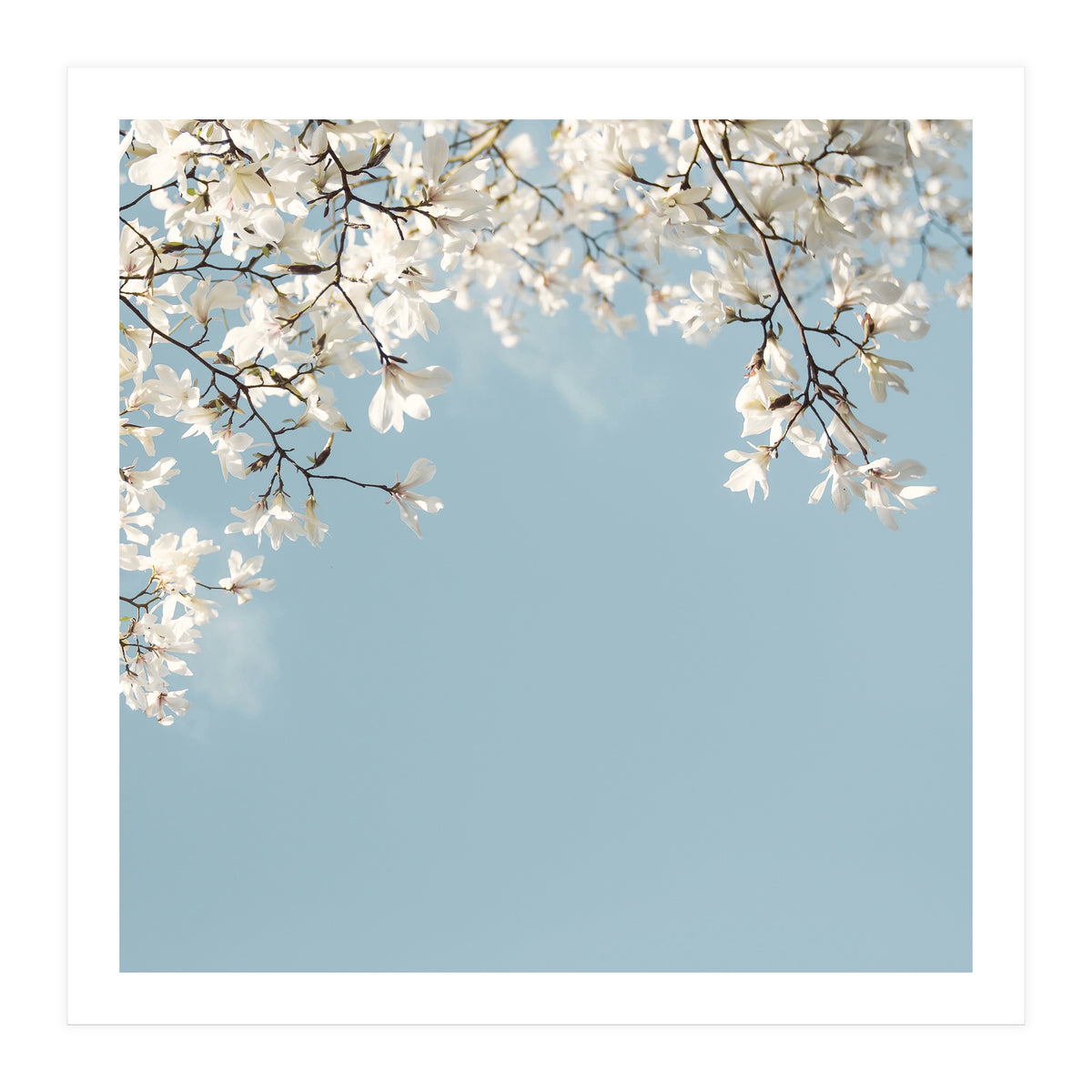 Symphony Blues (Print Only)
