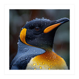 King Penguin Standing In Rain With Water Drops Nature Photography (Print Only) thumbnail