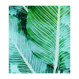 Rearranged Beauty (Print Only) thumbnail