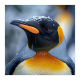 King Penguin In Falling Snow (Print Only) thumbnail