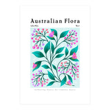Australian Flora: Lilly Pilly (Print Only) thumbnail
