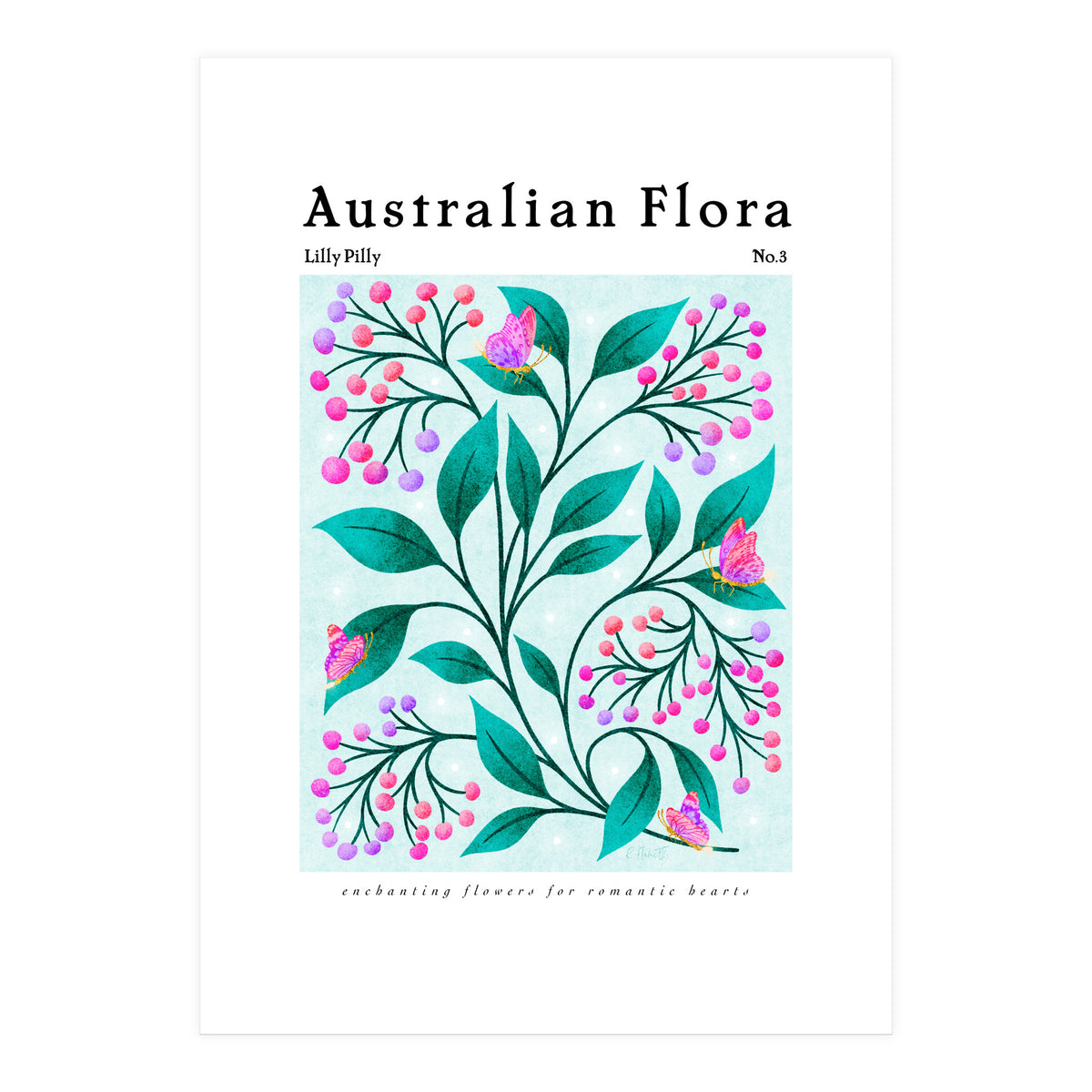 Australian Flora: Lilly Pilly (Print Only)