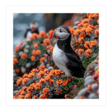 Atlantic Puffin Bird Perched On Orange Flowers (Print Only) thumbnail