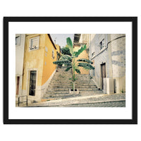 Lisbon Palm Tree