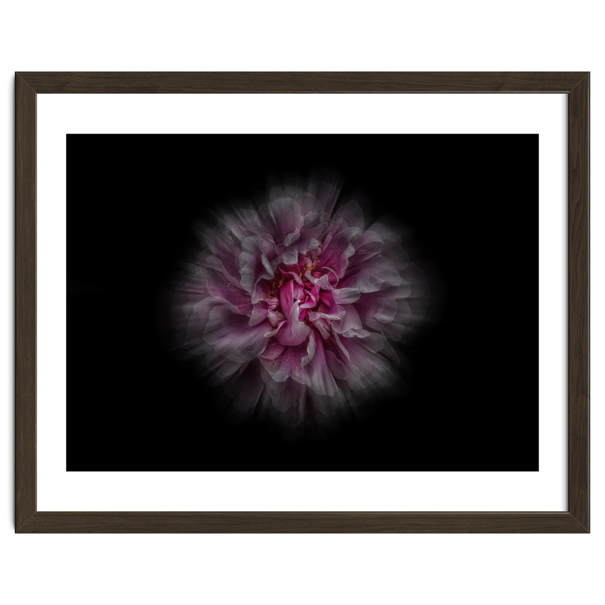 Backyard Flowers No 116 Color Flow Version