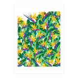 Summer Strelitzia (Print Only) thumbnail