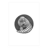 Pangolin no. 1 (Print Only) thumbnail