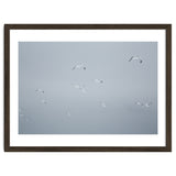 Flying seagulls in the winter sky thumbnail