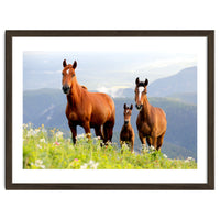 Three Horses