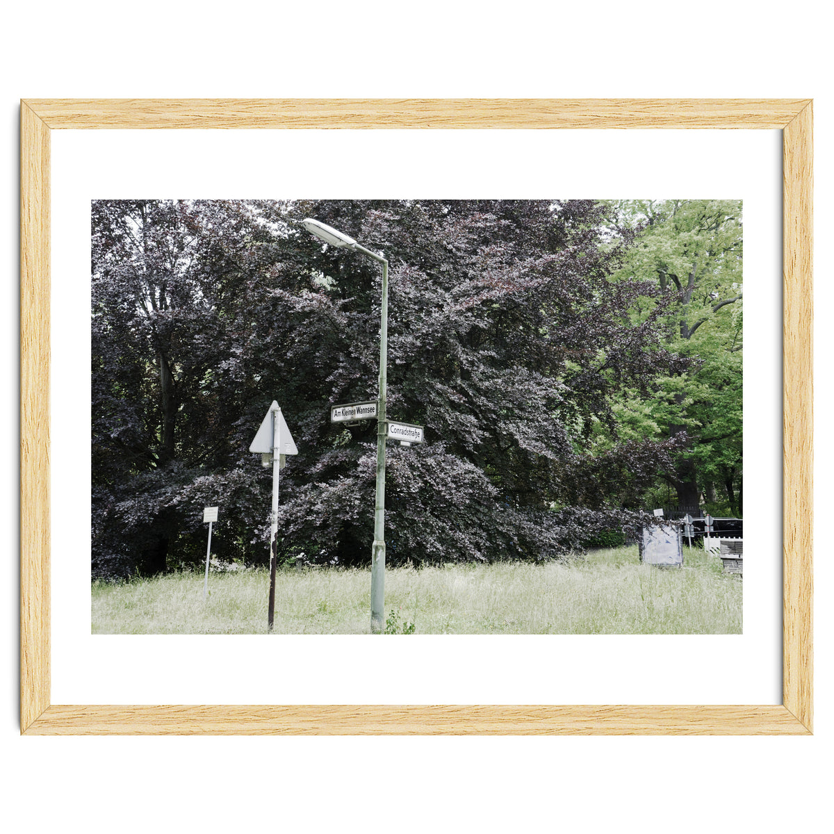 Signs at the corner of the street