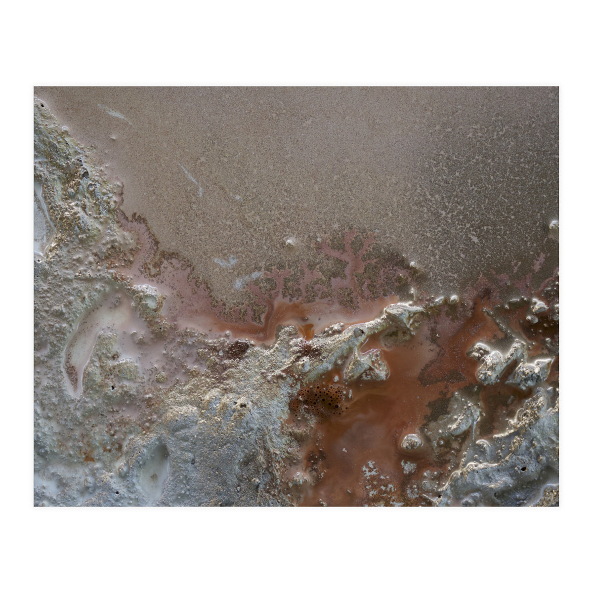 Resilience (Print Only)