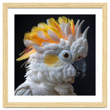 Close Up Of A Cockatoo Parrot With Yellow Crest thumbnail