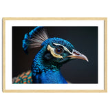 Close Up Peacock Head Blue Green Feather thumbnail