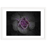 Backyard Flowers No 108 Color Version