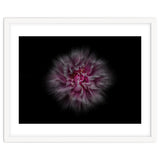 Backyard Flowers No 116 Color Flow Version thumbnail