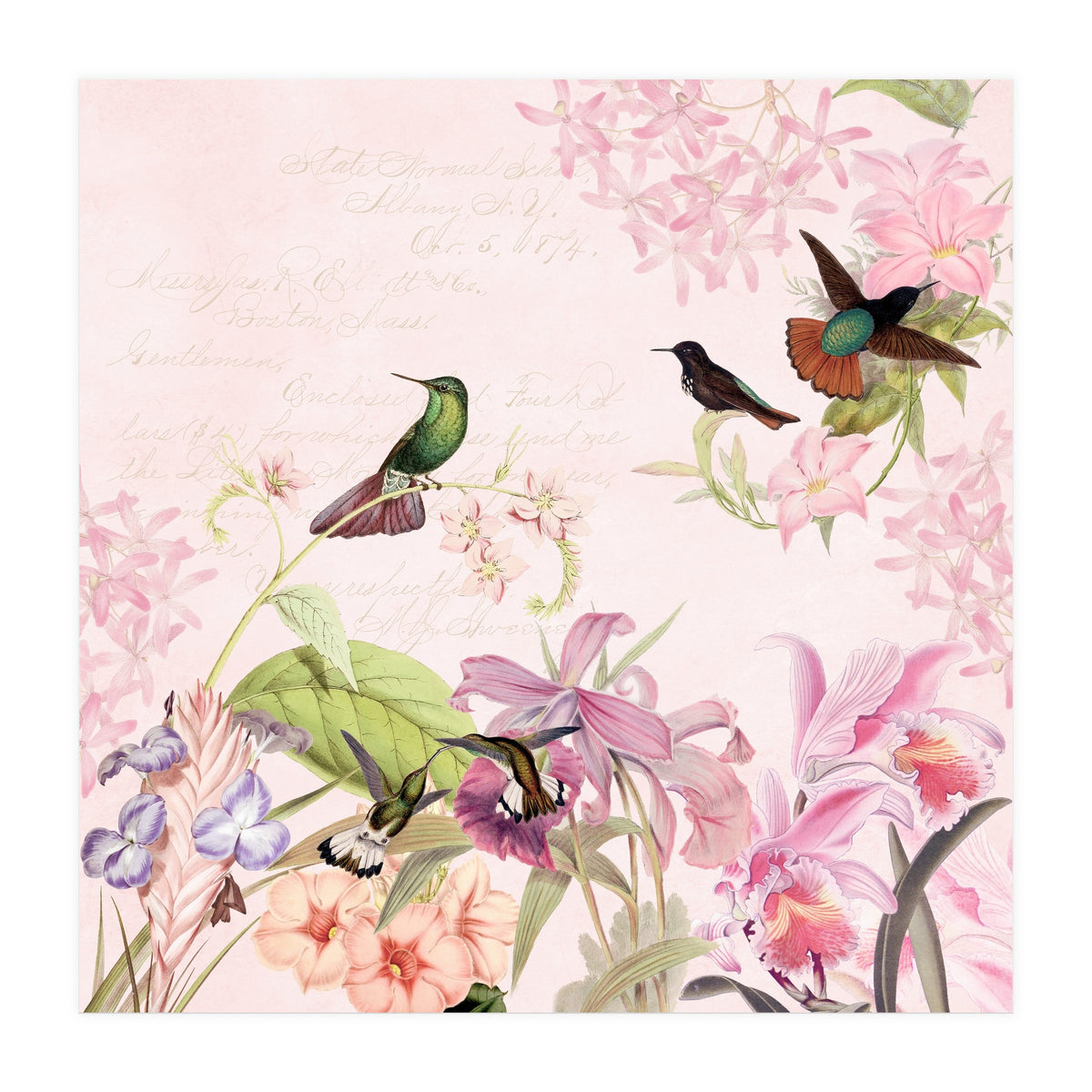 Hummingbirds in Flower Jungle  (Print Only)