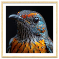 Close Up Of A Colorful Exotic Bird Head