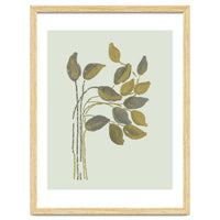 Olivia muted botanical oils