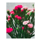 Watercolor Still Life (Print Only) thumbnail