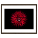 Backyard Flowers No 45 Color Flow Version thumbnail