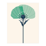Teal Half Poppy (Print Only) thumbnail