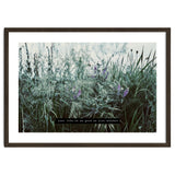Photography - Summer Garden thumbnail