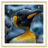 King Penguin Close Up In The Rain thumbnail