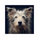 Old Dog 07 (Print Only) thumbnail