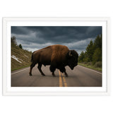 Bison on the Road , Yellowstone Wildlife Photography thumbnail
