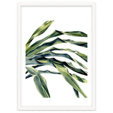 Green Palm Leaves thumbnail