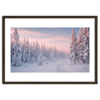Winter’s Gentle Embrace