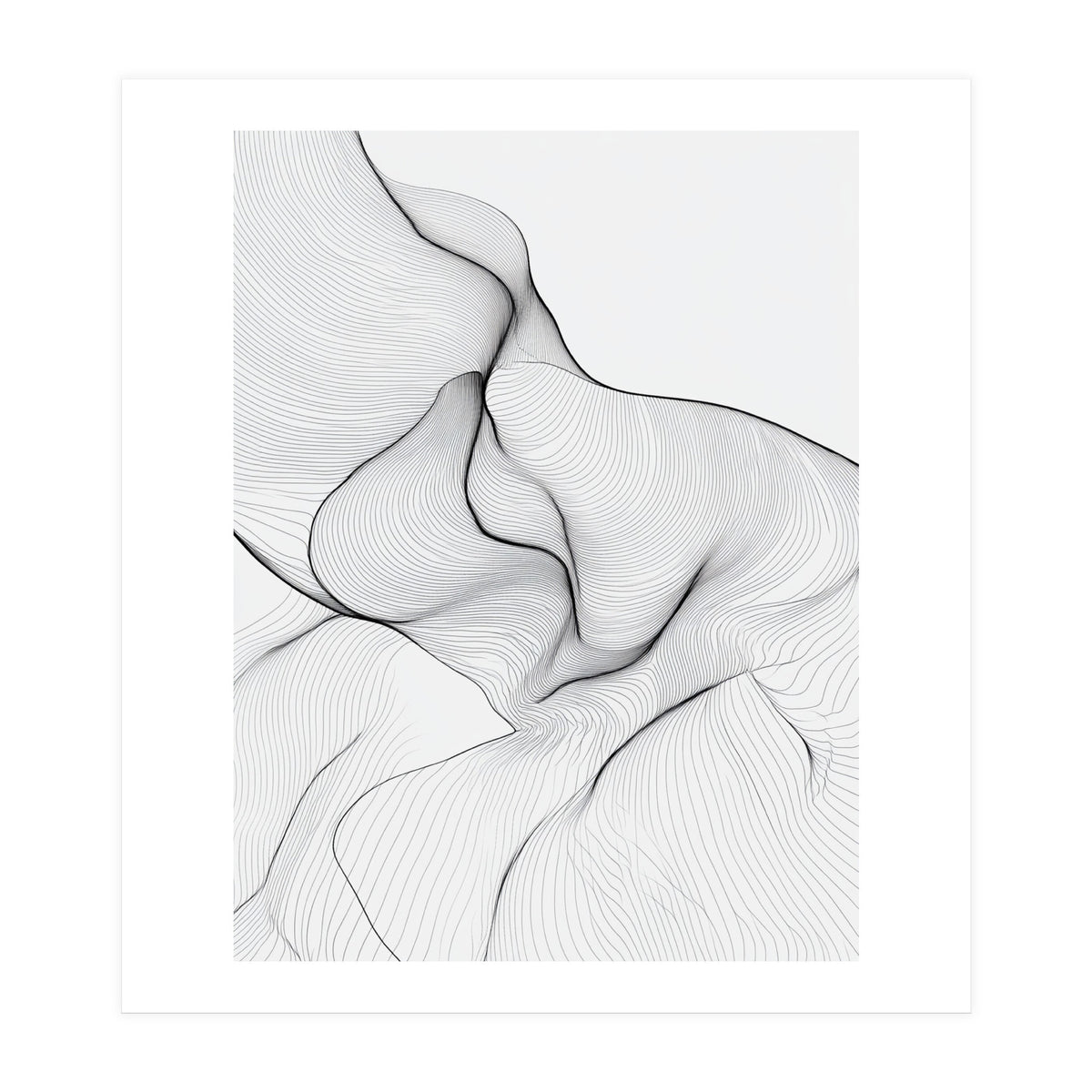 Abstract Black And White Flowing Lines Organic Form (Print Only)