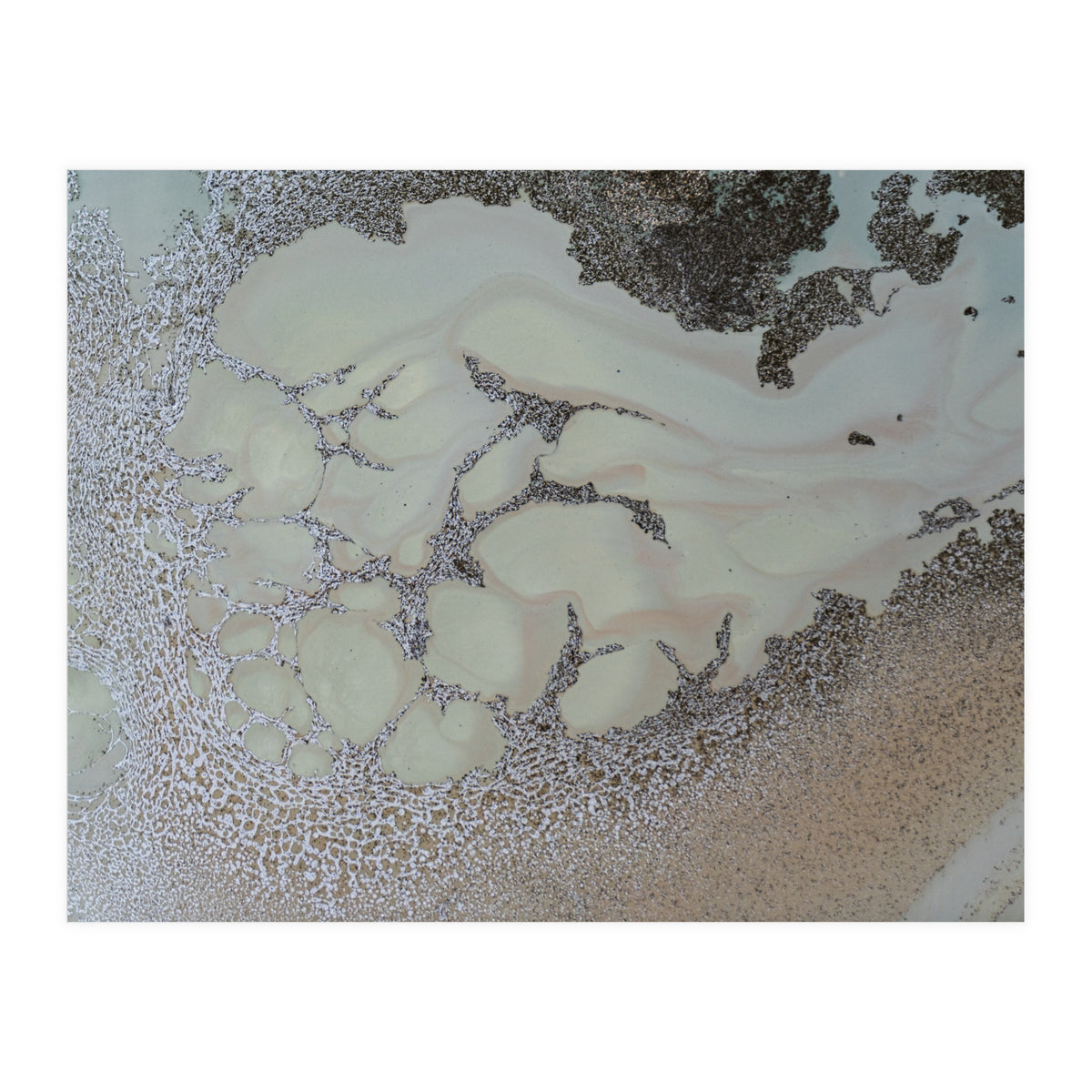 Shifting (Print Only)