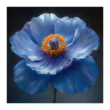 Meconopsis | Sapphire Serenade (Print Only) thumbnail