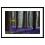 Bluebell forest thumbnail