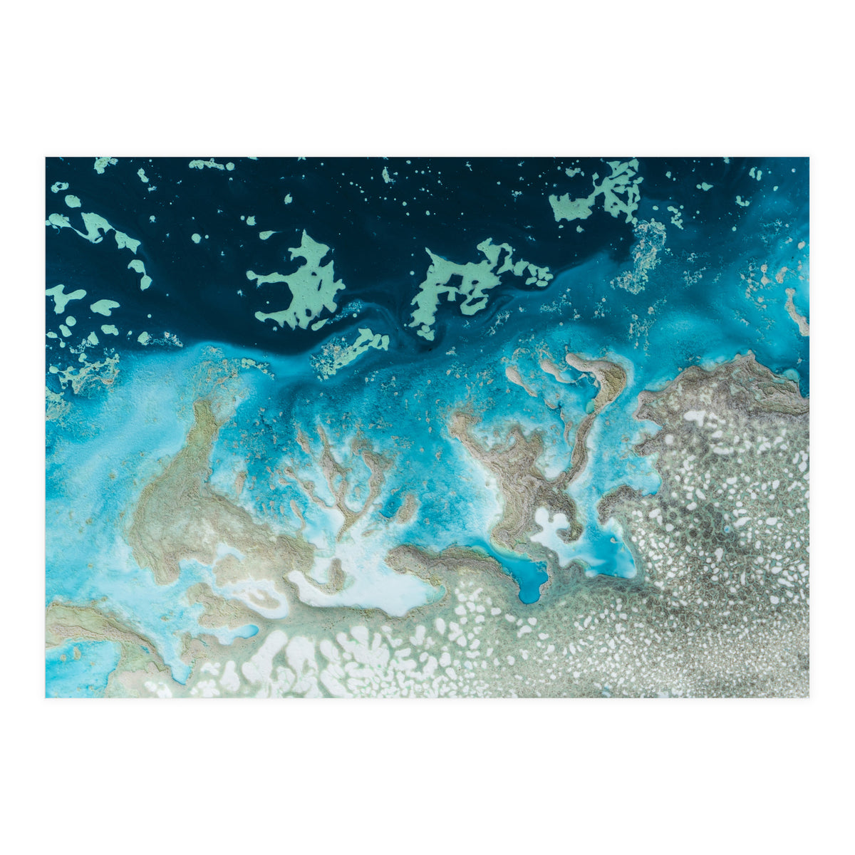 The Oasis (Print Only)