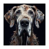 Old Dog 04 (Print Only) thumbnail
