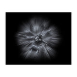Backyard Flowers In Black And White No 66 Flow Version (Print Only) thumbnail