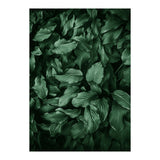 New Foliage Green Ii (Print Only) thumbnail