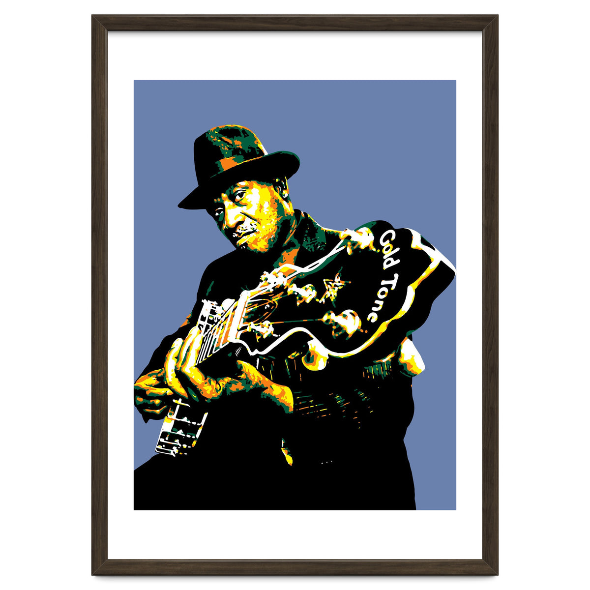 Taj Mahal American Blues Musician Legend