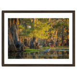 Heron in the swamps thumbnail