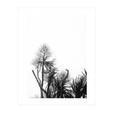 Miminalist Palm (Print Only) thumbnail
