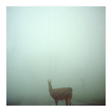 Silence of breath - 04 (Print Only) thumbnail