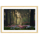 Rhododendron forest thumbnail