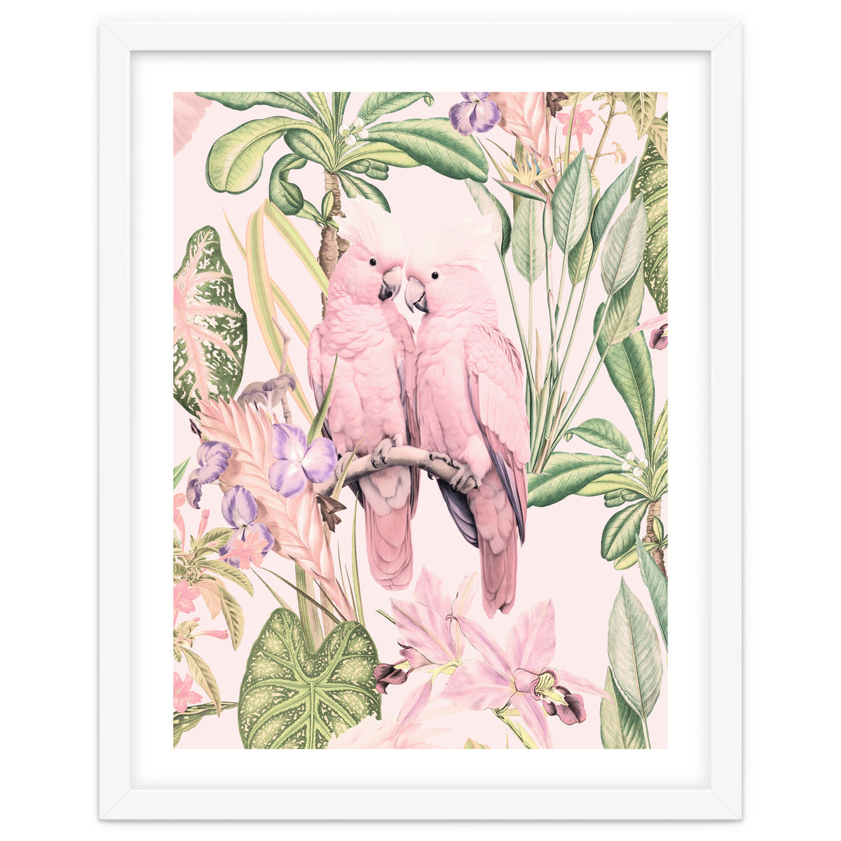 Pink Cockatoos in Love